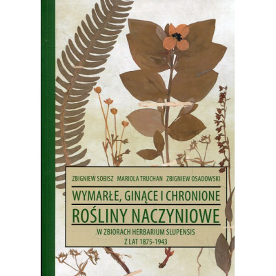 Wymarłe, ginące i chronione rośliny naczyniowe w zbiorach Herbarium Slupensis z lat 1875-1943
