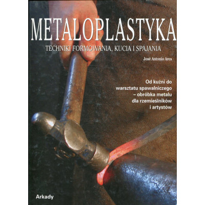 Metaloplastyka