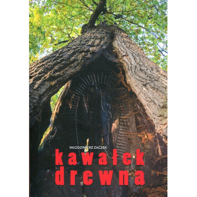 Kawałek drewna