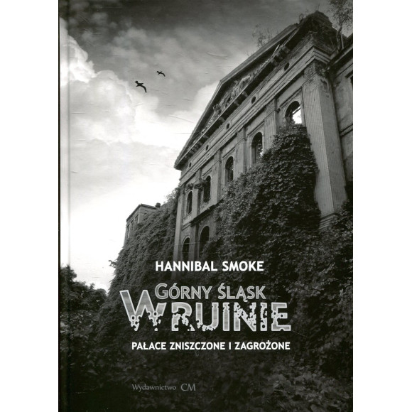 Górny Śląsk w ruinie