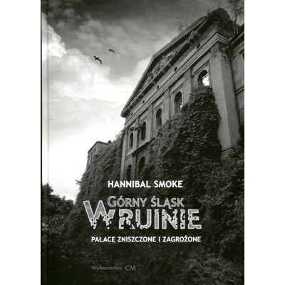 Górny Śląsk w ruinie