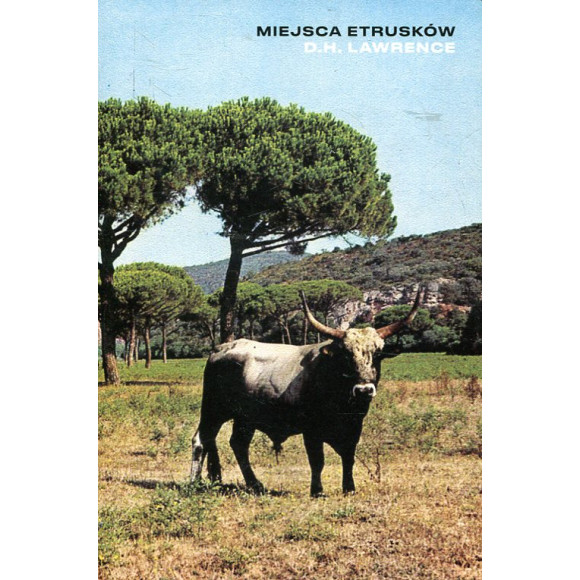 Miejsca Etrusków