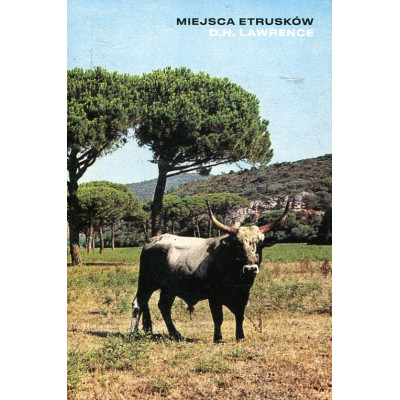 Miejsca Etrusków