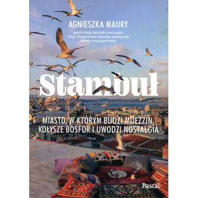 Stambuł