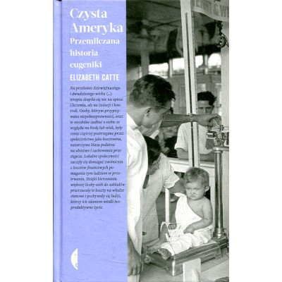Czysta Ameryka
