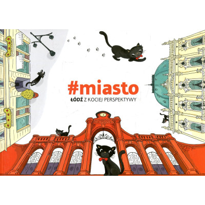miasto Łódź z kociej perspektywy