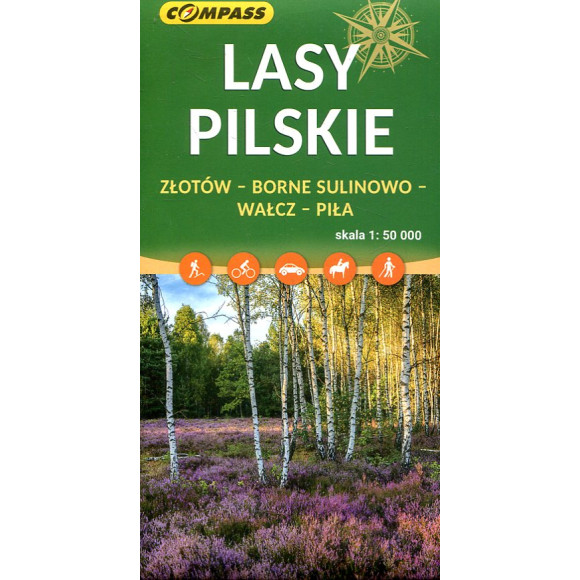 Lasy Pilskie 1:50 000
