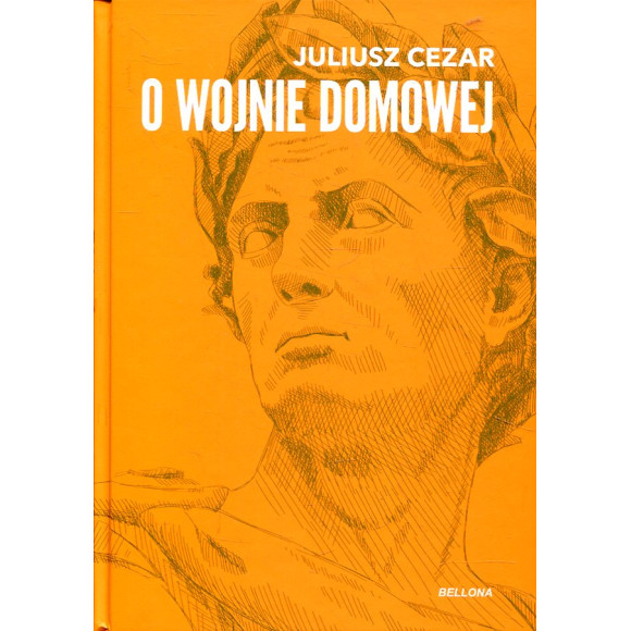 O wojnie domowej