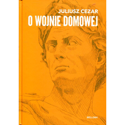 O wojnie domowej