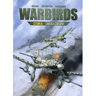 Warbirds Stuka Zabójca czołgów