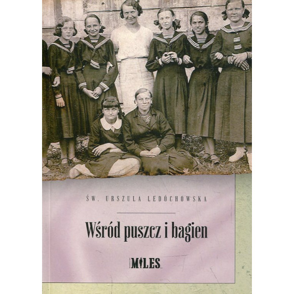 Wśród puszcz i bagien