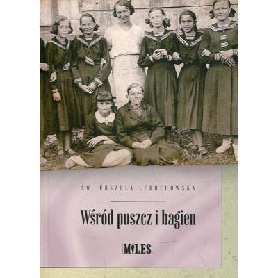 Wśród puszcz i bagien