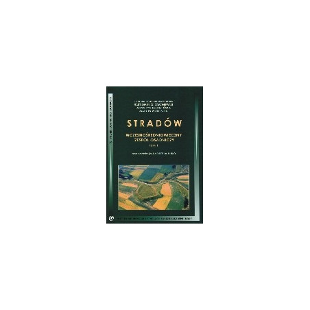 Stradów. Wczesnośredniowieczny zespół osadniczy tom.1