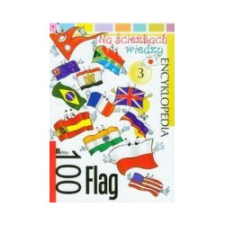 100 flag